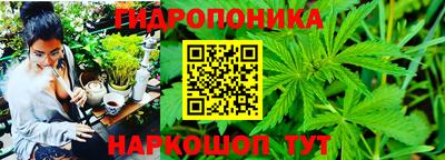 ALPHA PVP Обь