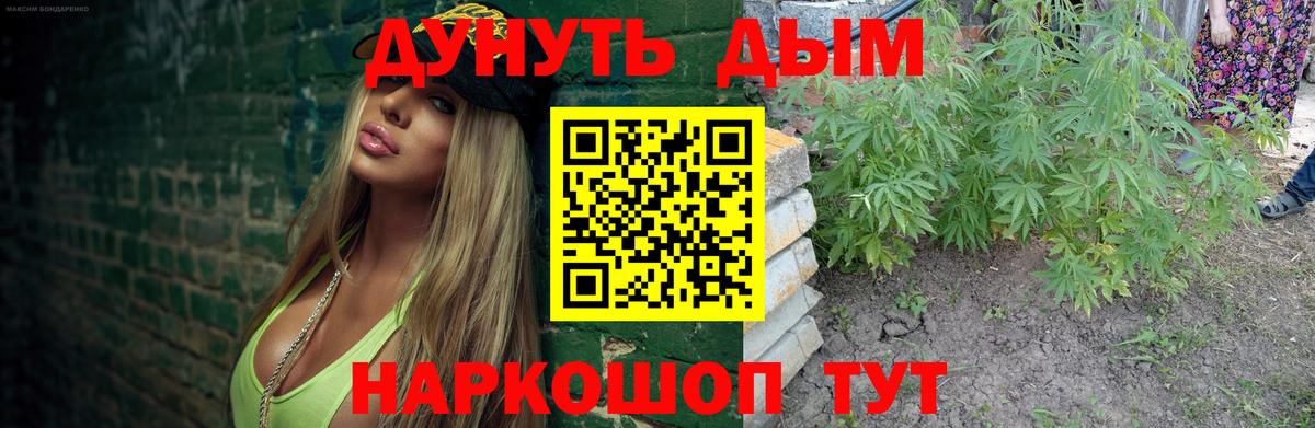 Каннабис планчик Ростов-на-Дону